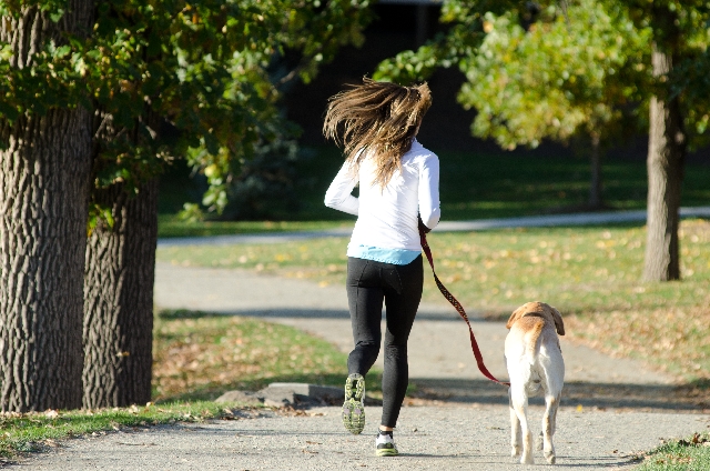 犬とジョギング